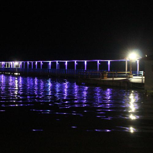 Sea Lion Hotel exterior